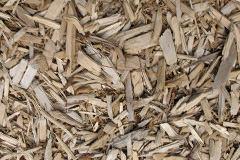 biomass boilers Tarleton