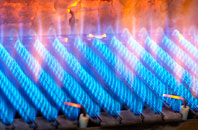 Tarleton gas fired boilers